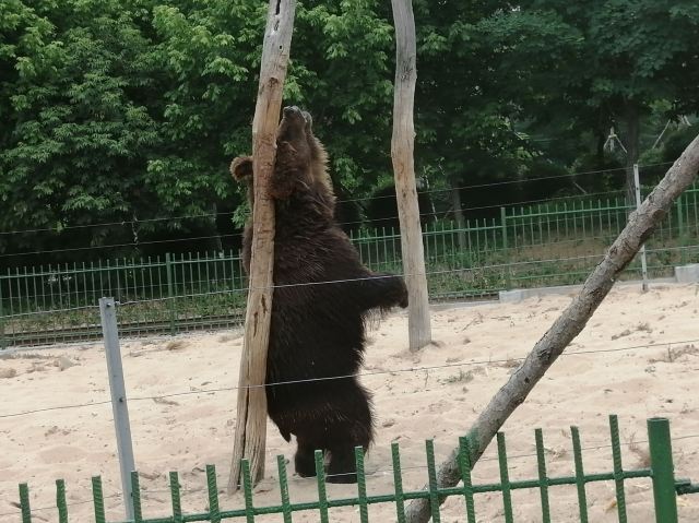 친황다오 야생동물원