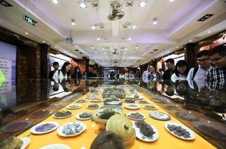资兴东江奇石馆很有特色，收集了世界各地的石材，很有参考价值，