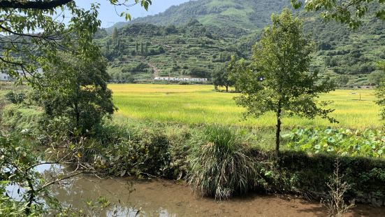 听取旅友意见没买门票，古村落老房子仍保留着原生态。出来时在桥