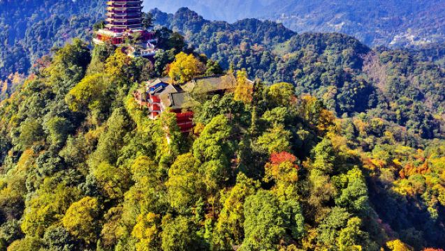 【2-8人含門票上門接送純玩無購物】青城前山+青城後山一日遊