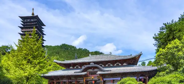 Hotels in Kaihua