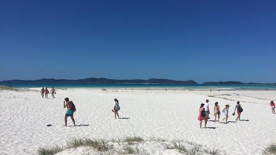 美麗的海灘，值得一游。cruise whitsundays帶