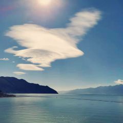 云中隐海景餐厅 User Photo