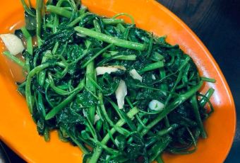 Restaurant Shark Fing User Photo