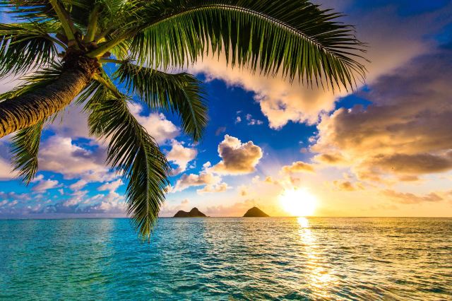 A 2021 Guide to Hawaii Travel During COVID-19