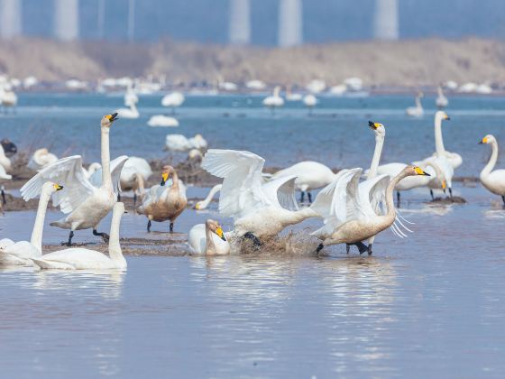 Baishi Reservoir