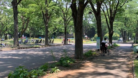 公园是在Setagaya地区周边最大的公园。作为一个跑步者，