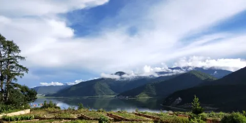 香格里拉高山植物園門票成人票
