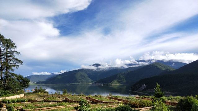 Xianggelila Gao Mountain Botanical Garden