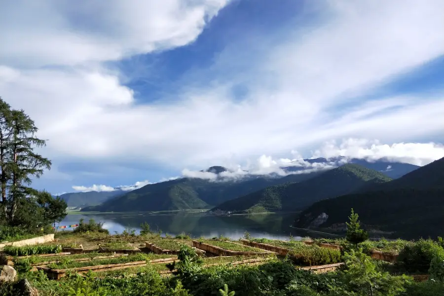 Xianggelila Gao Mountain Botanical Garden