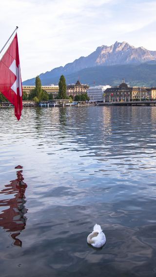 FIFA World Museum +******headquarters + St. Peter's Church + Limmat