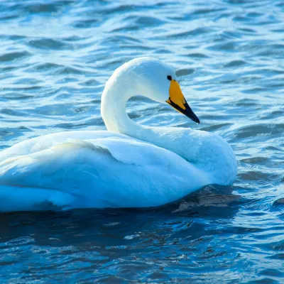 4-звездочные отели в г. Яманакако