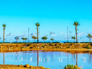 Wolong Lake