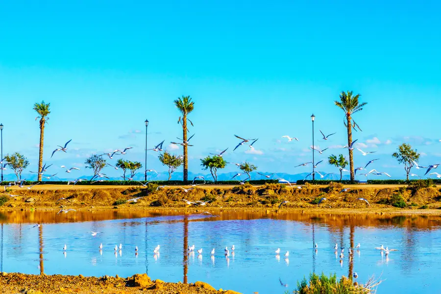 Wolong Lake