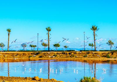 Wolong Lake