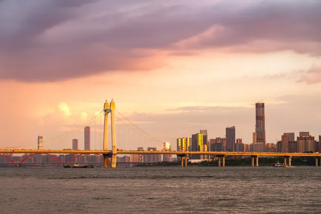 Rotterdam Homestays