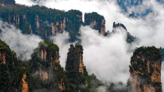 Pecking Chicken Scenic Spot, Zhangjiajie