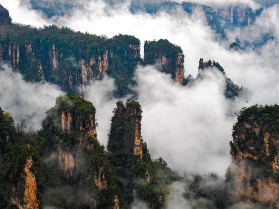 Pecking Chicken Scenic Spot, Zhangjiajie