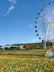 Shangshanzhuang Flower Sea