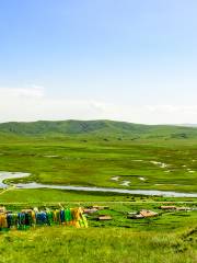 Guomang Wetland