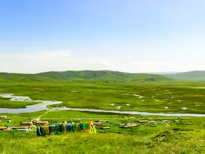 Guomang Wetland