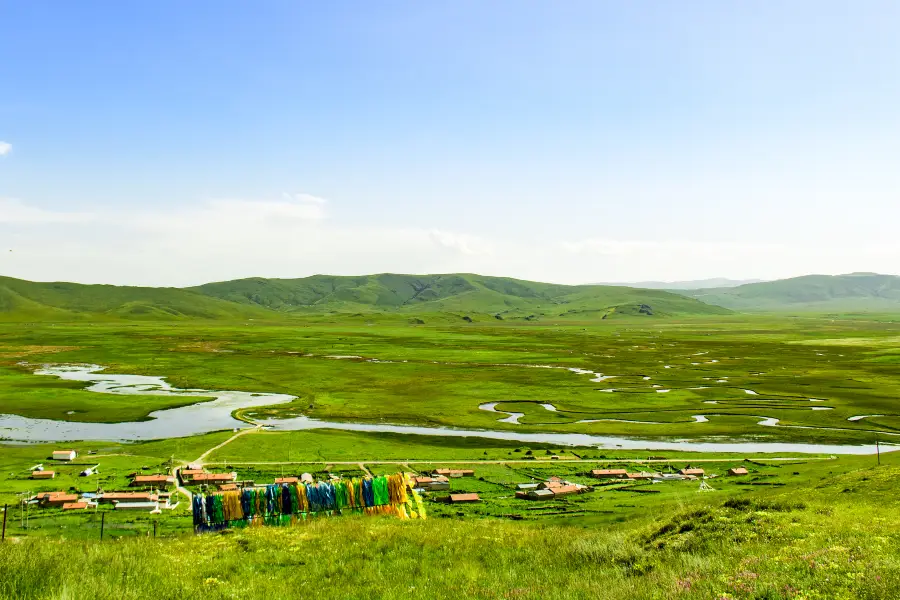 郭莽湿地