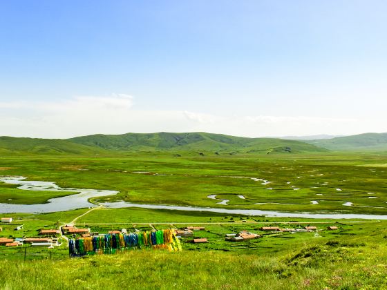 郭莽湿地