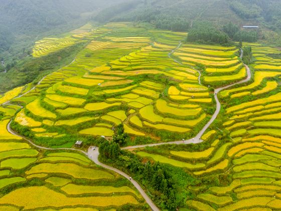 Heishan Terraces