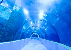 Taizhou Ocean World