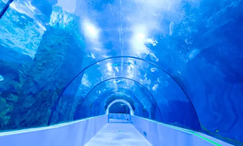 Ocean World