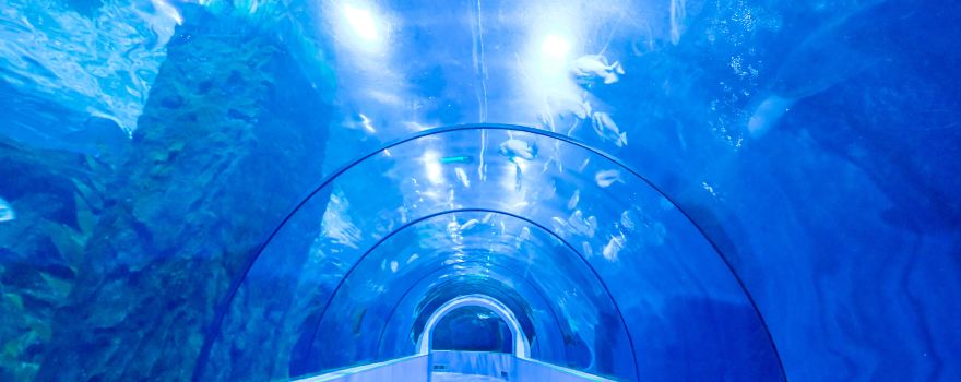 Ocean World