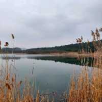 Attractive natural lake and park
