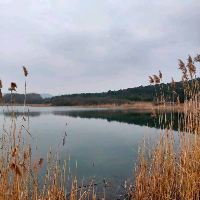 Attractive natural lake and park