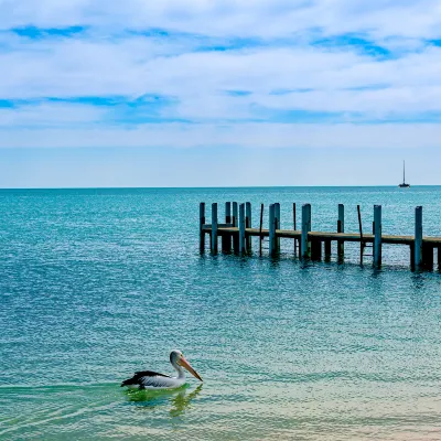 Flug Kalgoorlie Geraldton