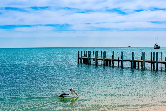 Flug Kalgoorlie Geraldton