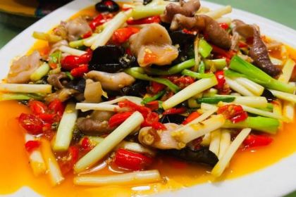 Rabbit Walk The World HONG HE XIAN GUO TU