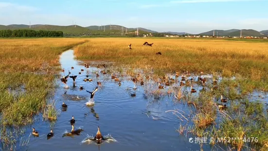 Huajia Lake