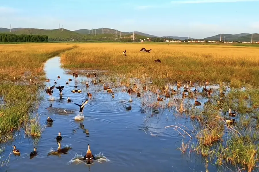 化家湖水庫