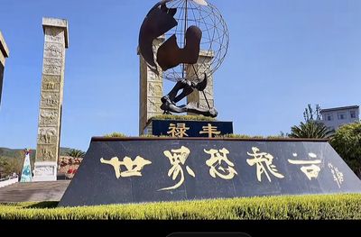 Shijiekonglonggukonglongyizhi Park