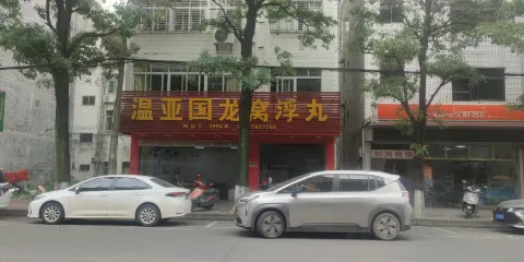 温亞國龍窩浮丸