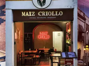 Maiz Criollo