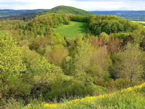 paysage protégé des montagnes de Fer