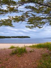 Port Shoreham Beach Provincial Park