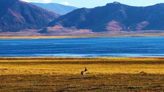 Donggetuona Lake Scenic Area