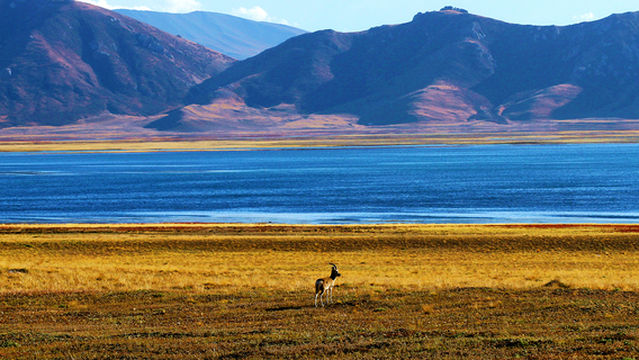 冬格措納湖風景区