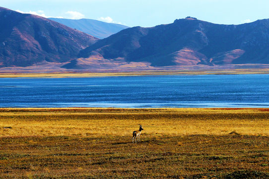 Donggetuona Lake Scenic Area