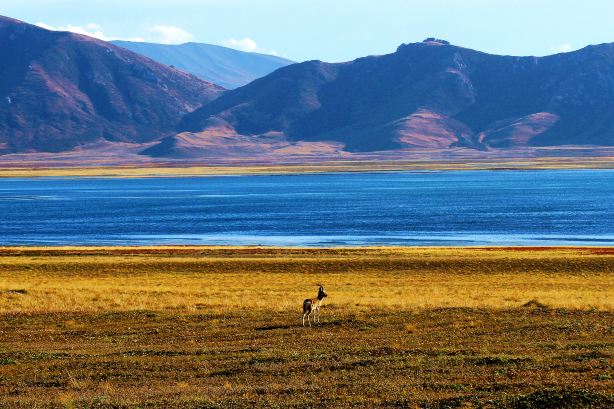 Donggetuona Lake Scenic Area