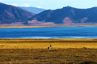 Donggetuona Lake Scenic Area