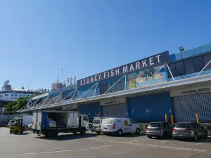 シドニー魚市場