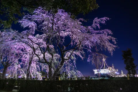 Yamashita Park